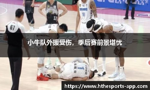 小牛队外援受伤，季后赛前景堪忧